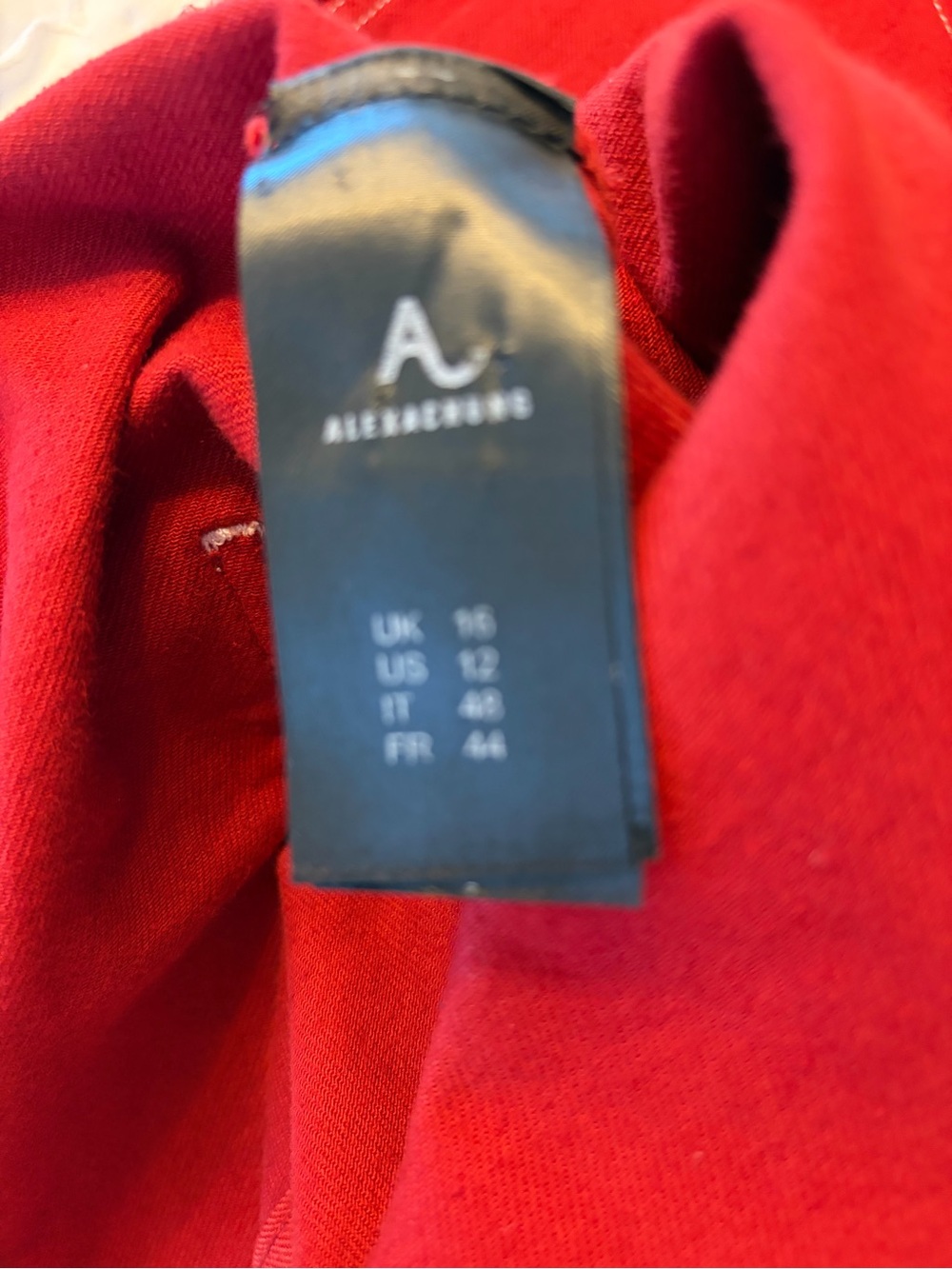 Red Ruffle-Trim Sleeveless Mini Dress - Picture 6 of 6